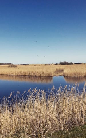 RSPB Minsmere, Norfolk