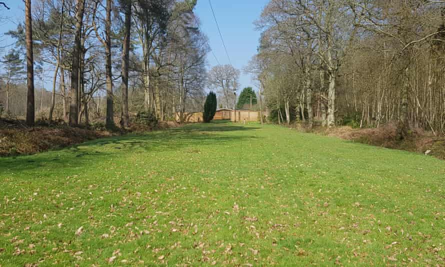 Camping field at Sandy Meadow Farm, West Sussex.