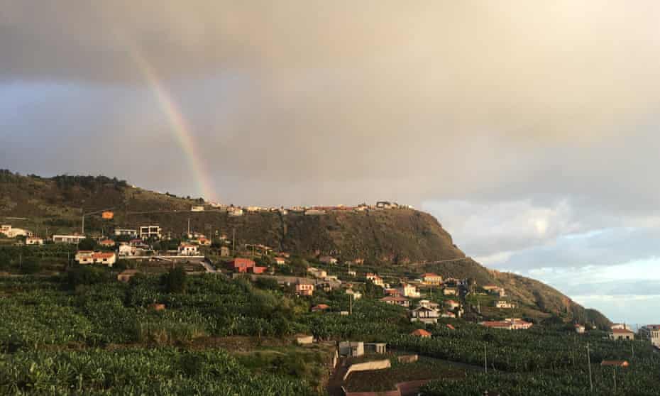 Banana plantations and lush hills from the author’s apartment in Arco da Calheta.