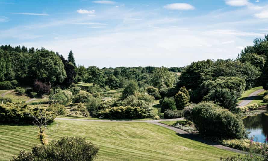 ‘There will be 55 treehouses, boathouses and hermit huts dotted around its 70 acres’: The Tawny, Staffordshire.