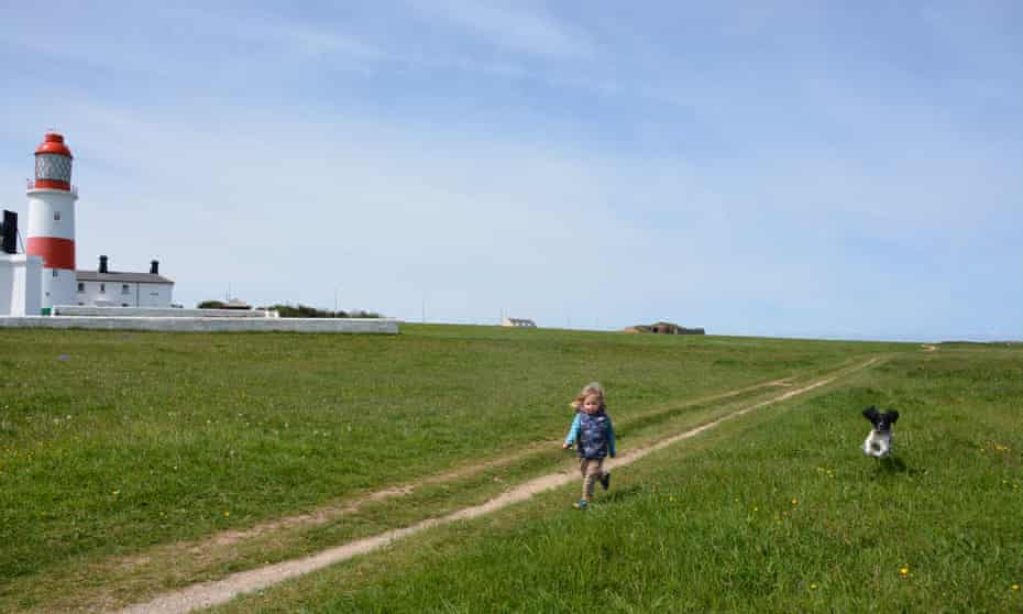 Small child and a dog run in a field past Souter Lighthouse, South Shields, UK.