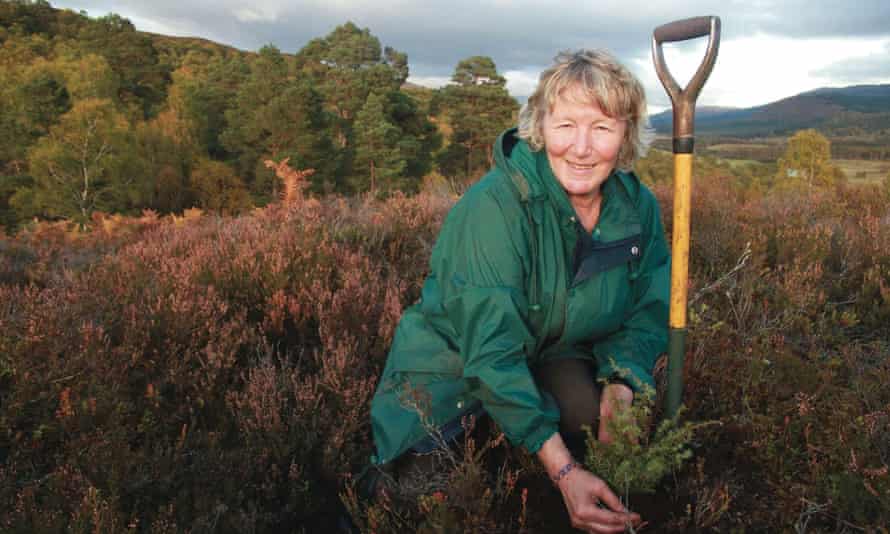 Trees for Life Dundreggan