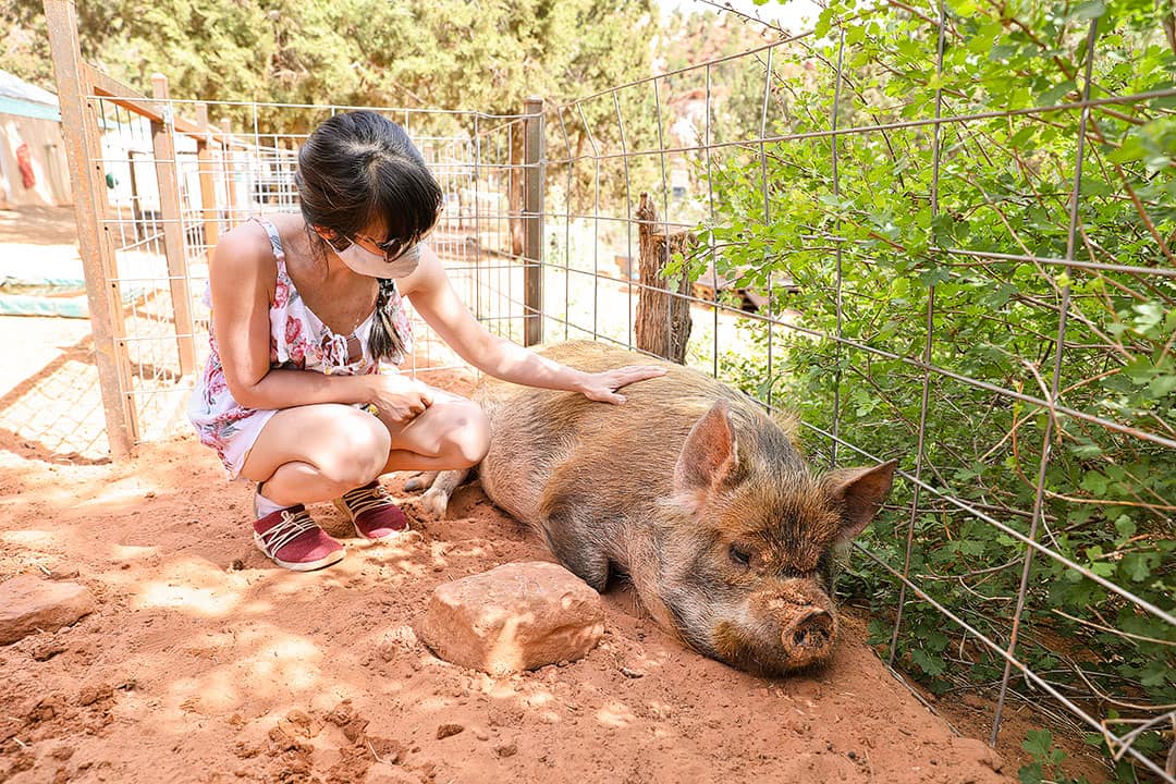 animals best friends kanab utah