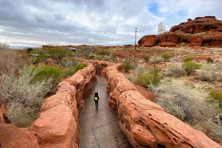 red hills desert garden