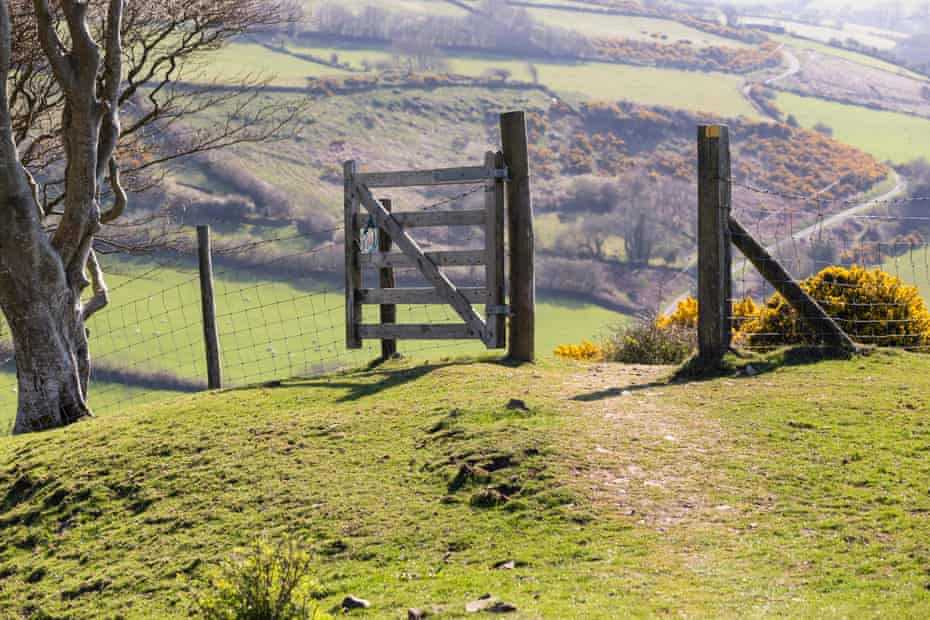 A footpath on the Coleridge Way in Exmoor national park.