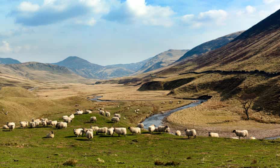 Glen Shee on the Braemar to Spittal of Glenshee road.