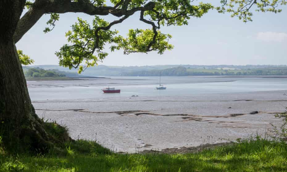 The River Cleddau estuary.