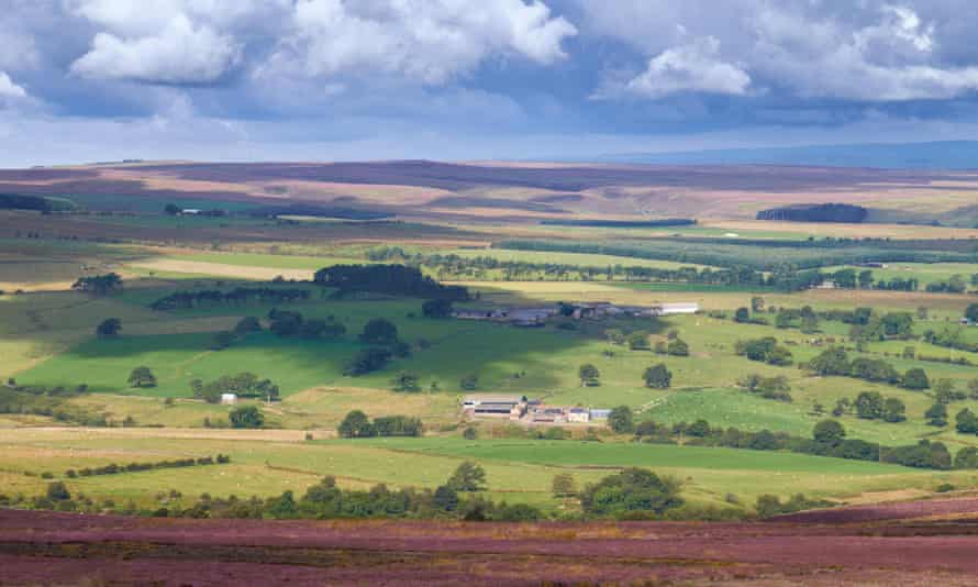 Paths leading to open moorland… Lord Crewe Arms, Northumberland.