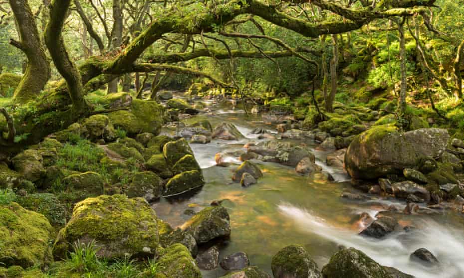 Fantastic walking on tap… The Ring of Bells, Dartmoor.