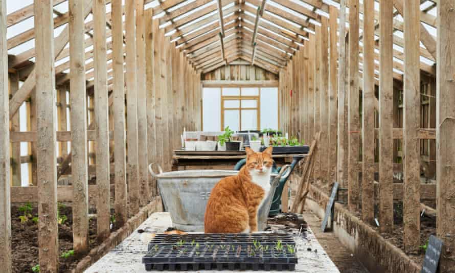 ‘Non-guests can drop in if there’s availability’: Coombeshead Farm, Cornwall.