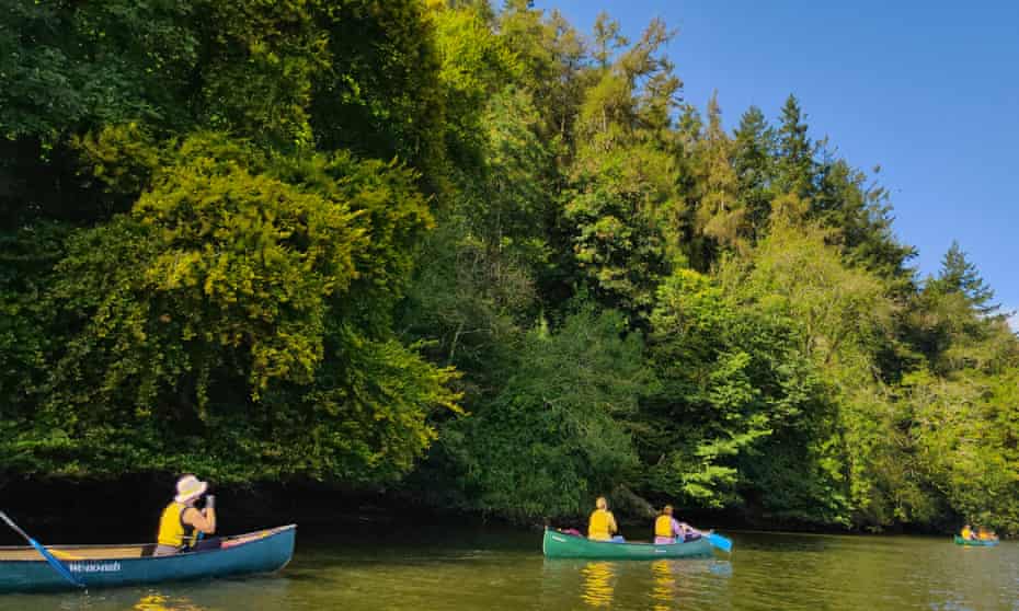 Two-person Canadian-style canoes are stable and sturdy.