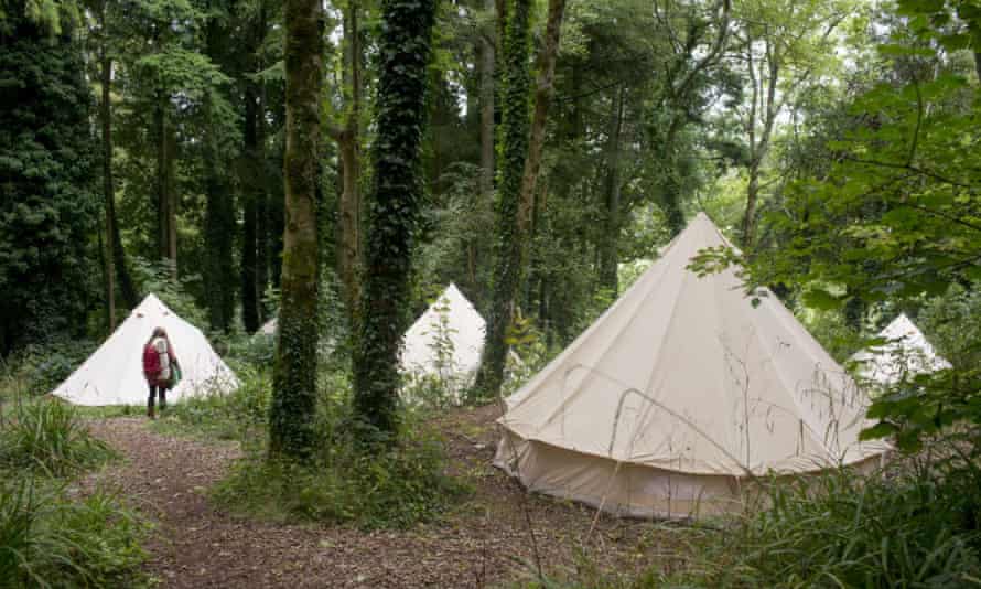 The camp is in a wooded area of the Sharpham estate.