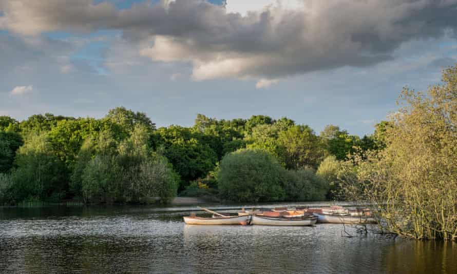 Hollow Pond, Epping Forest, London,