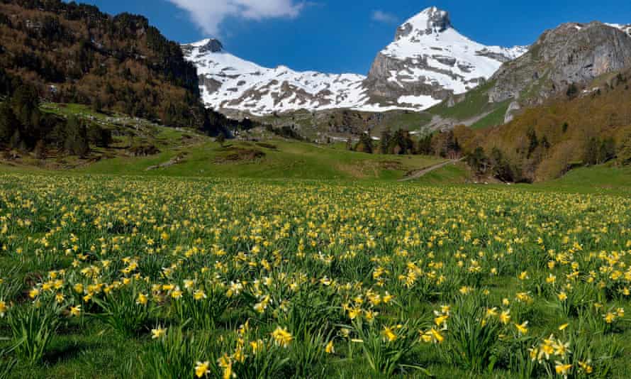 Ossau Valley, Pyrenees National Park