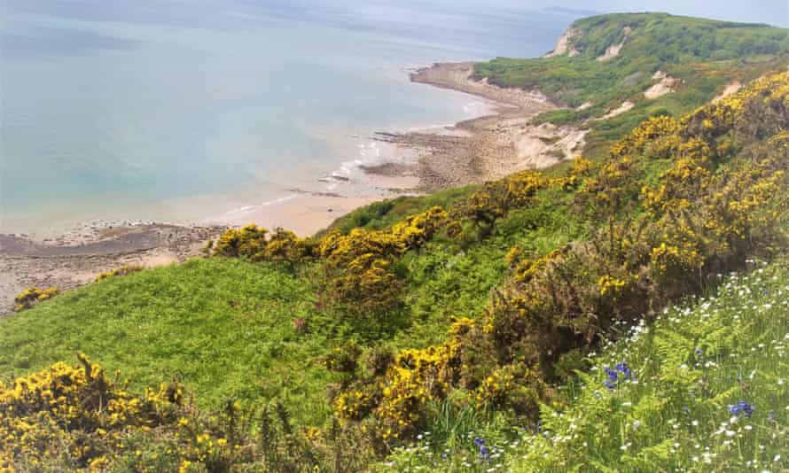 Fairlight Glen Beach, Hastings. ‘At low tide you can walk back to Hastings under the cliffs, spotting fossils.’