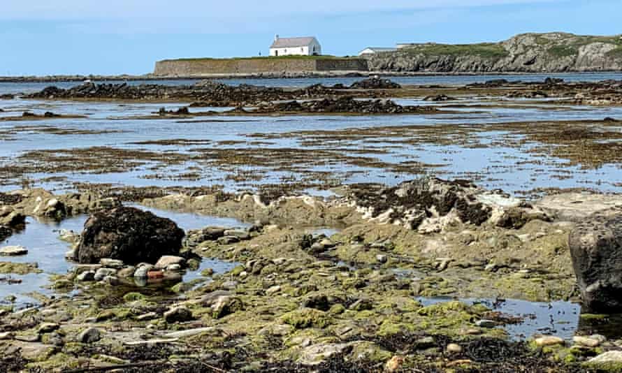 Porth Cwyfan, Aberffraw. ‘I love the Celtic feel of this place.’