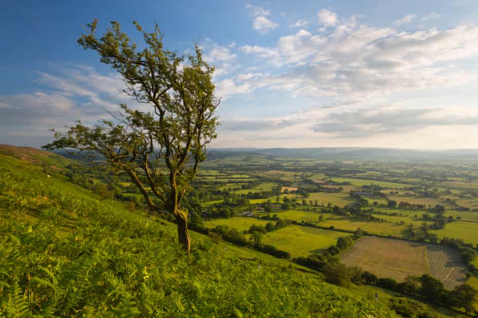 View from The Long Mynd, near Church Stretton, Shropshire, England, United Kingdom