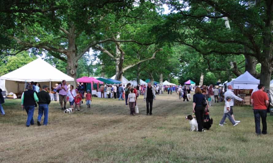 Stock Gaylard Oak Fair