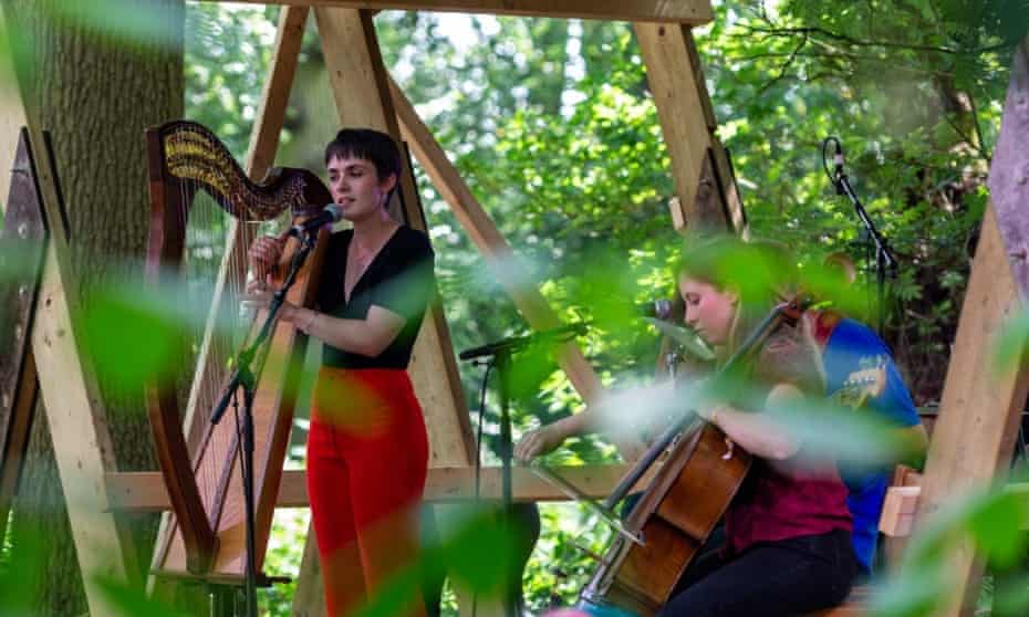 Musicians at Timber International Forest Festival.