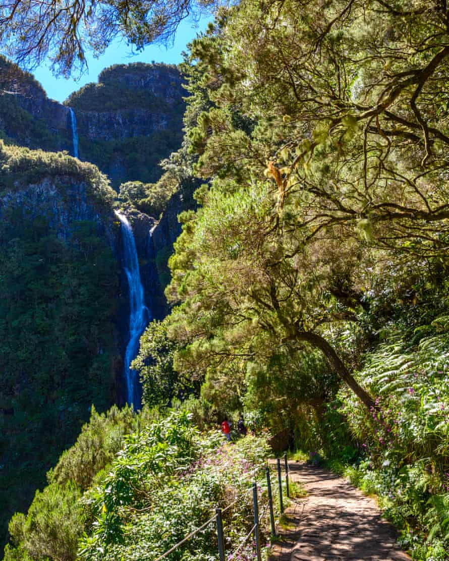 Risco waterfall - hiking on Levada trail 25.