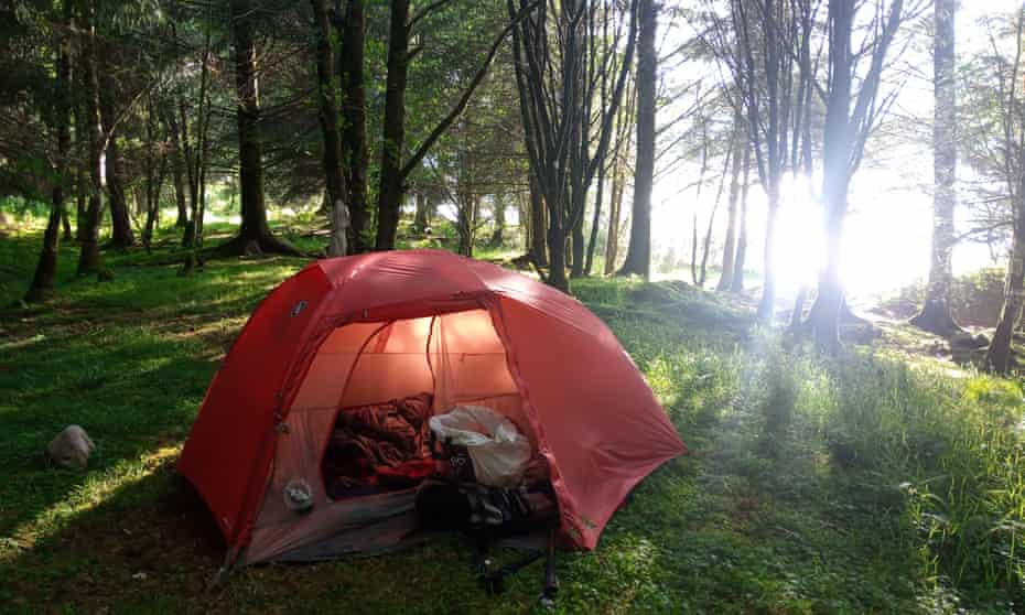 tent on loch shore among trees