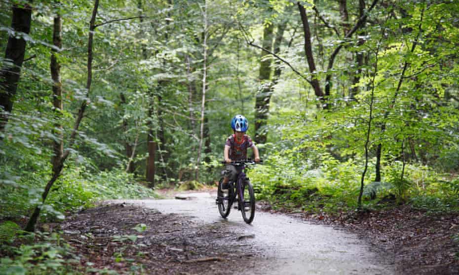 Lanhydrock Woods cycling.