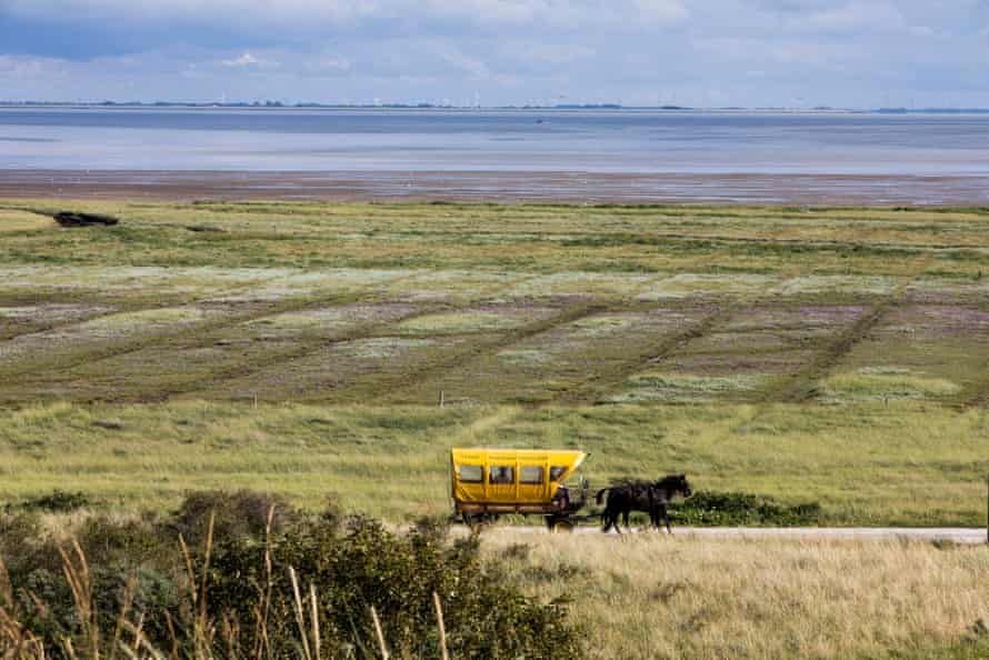 Horse-drawn carriage on the car-free island of Juist, Germany.