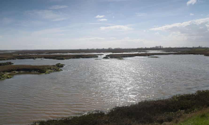 Hamford Water on the Essex coast.