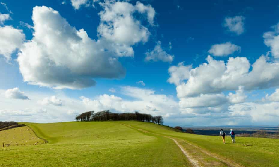 ‘The stretch of the South Downs Waynear the prehistoric hill fort of Chanctonbury is particularly beautiful’: Washington, West Sussex.