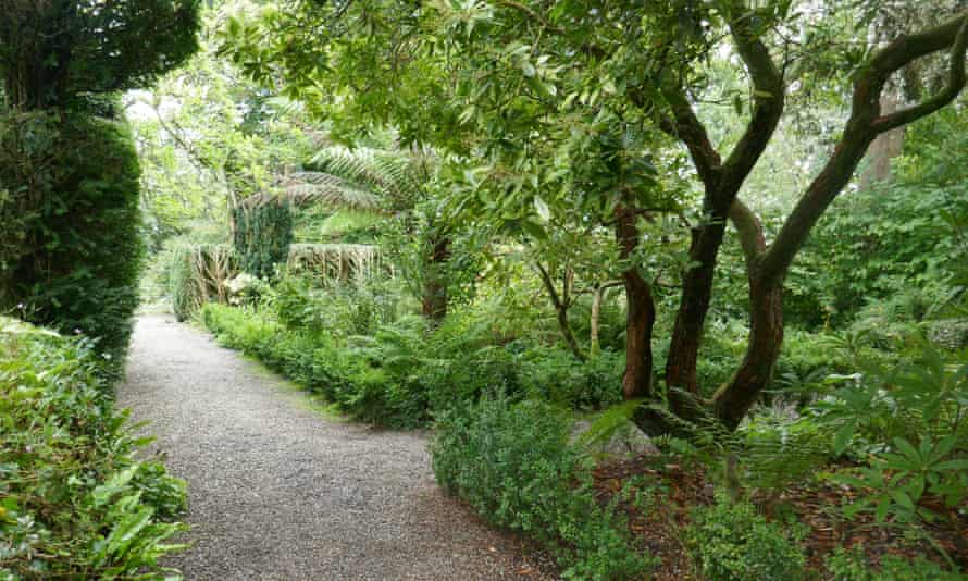 The garden at Plas yn Rhiw