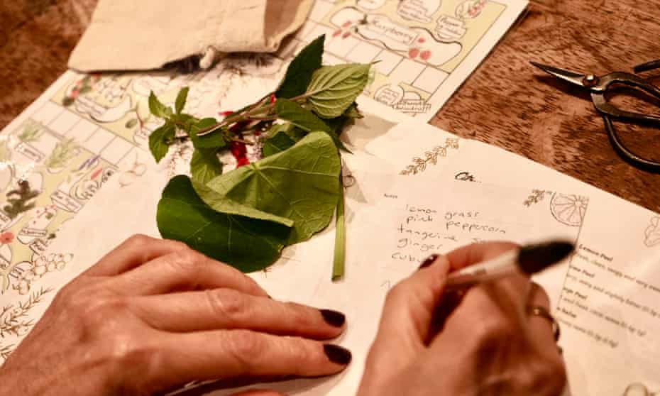 Table top with notebook and dry botanicals used in creating gin.