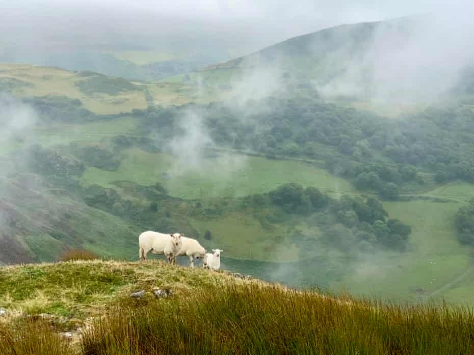 View from the summit of Bird Rock, Wales