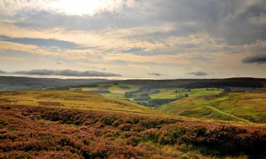 Moorland views along the trail; Northern Saints Trail, Northumberland, UK.