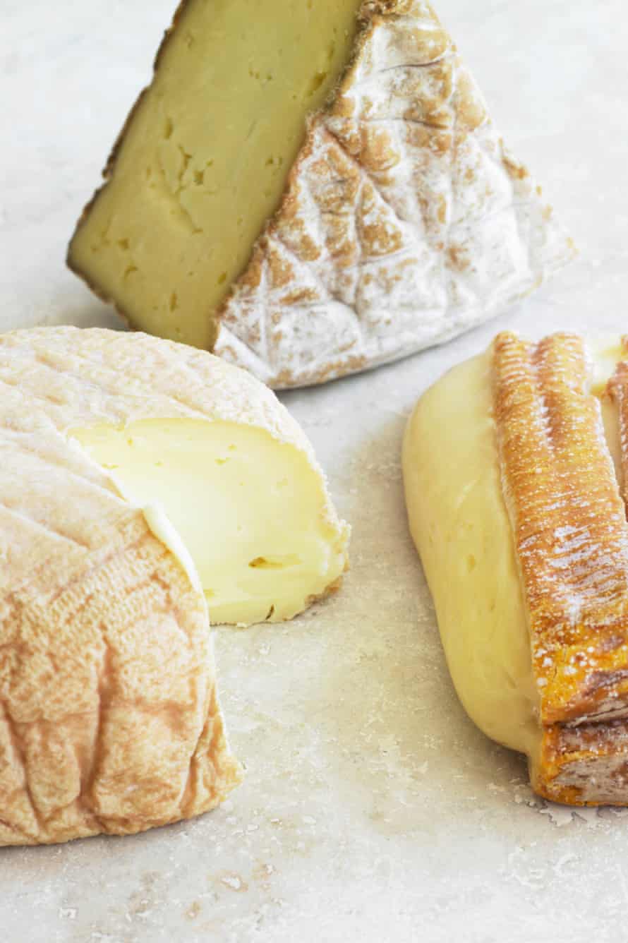 Different kinds of cheese, close-up