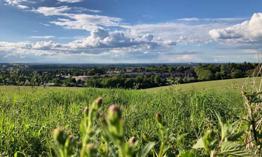 Pewley Down Fields