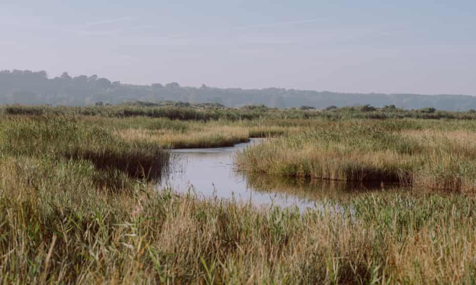 Dunwich marshes