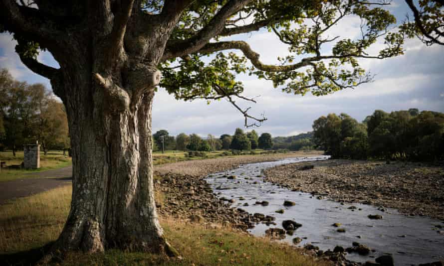 The South Tyne between Featherstone Castle and the prisoner of war camp.