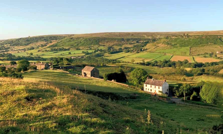 The Tree Relaxation Retreat in Yorkshire