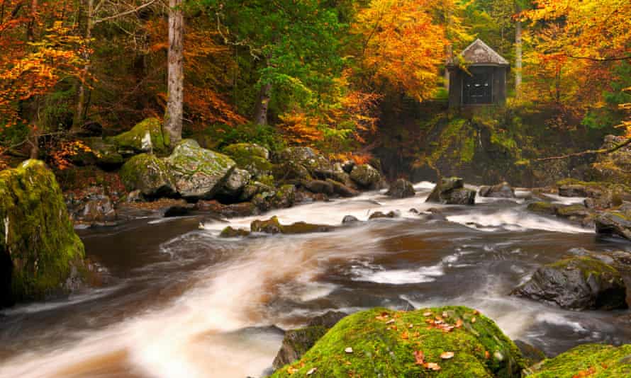 River through autumn colours at the Hermitage near Dunkeld