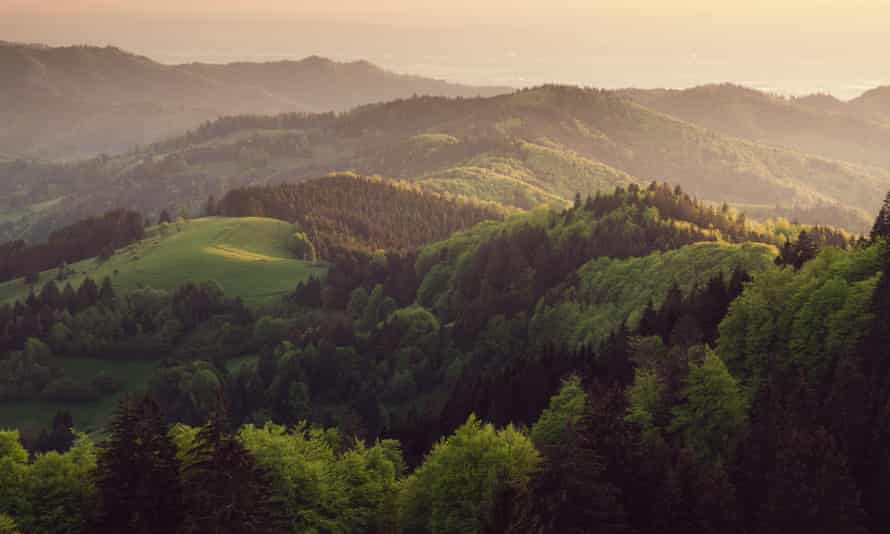 Last warm sunbeams touching black forest at Freiburg.