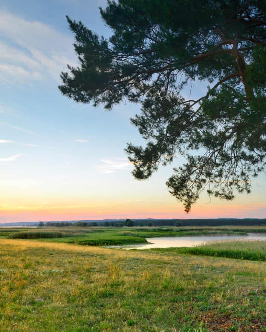 Lower Oder Valley National Park, Germany