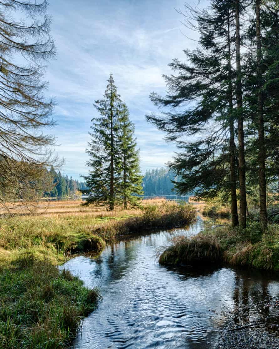 Bavarian Forest National Park, Lake Grosser Abersee in autumn