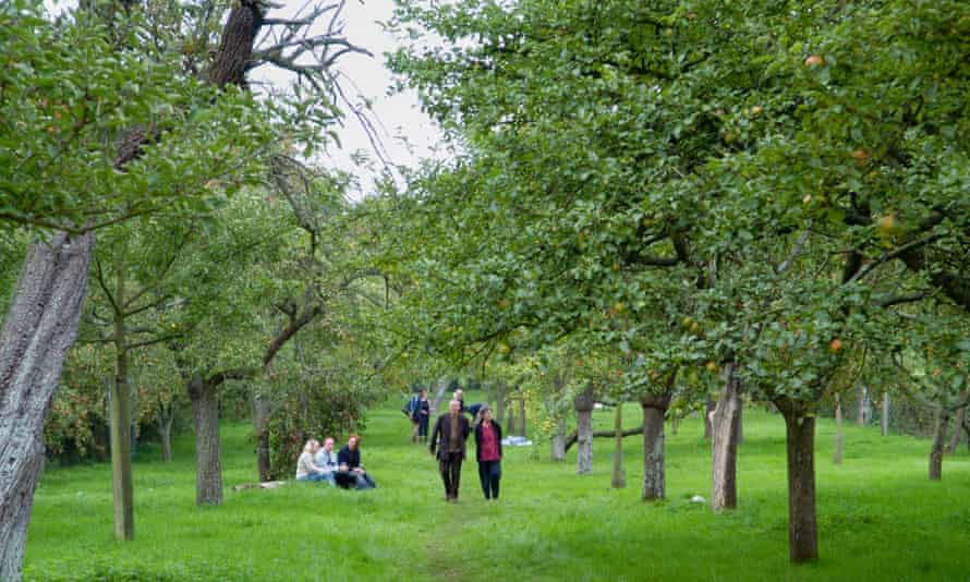 Visitors at Greggs Pit cider apple orchard on Big Apple Day at Much Marcle Herefordshire England