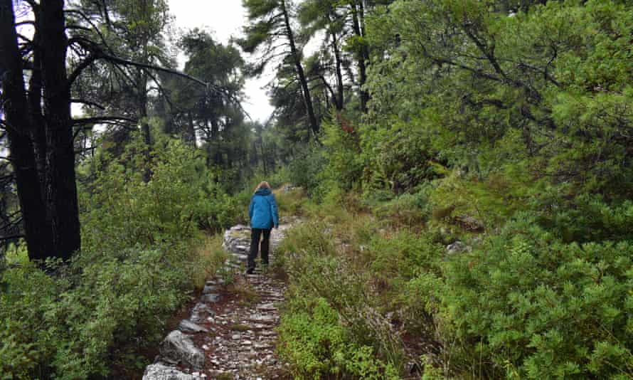 One of several ancient paths that form the Retsina Trail