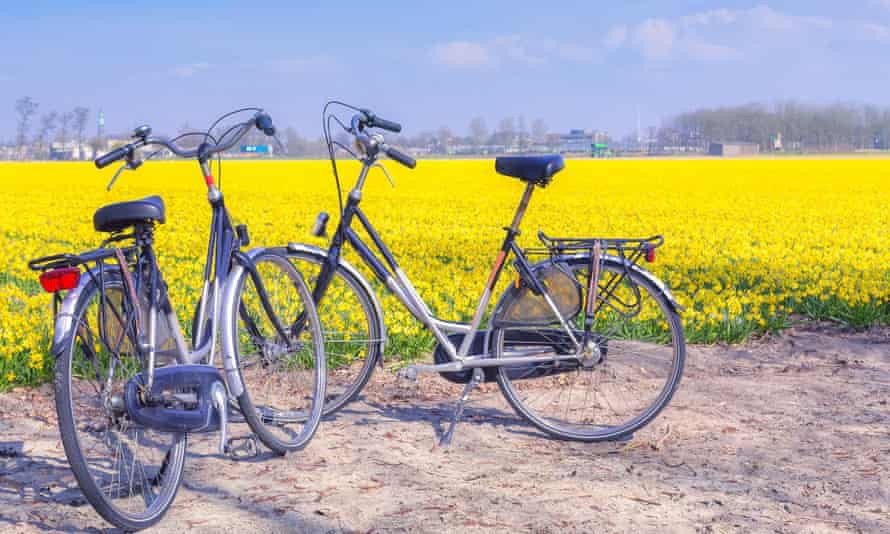 Cycling in the Netherlands.