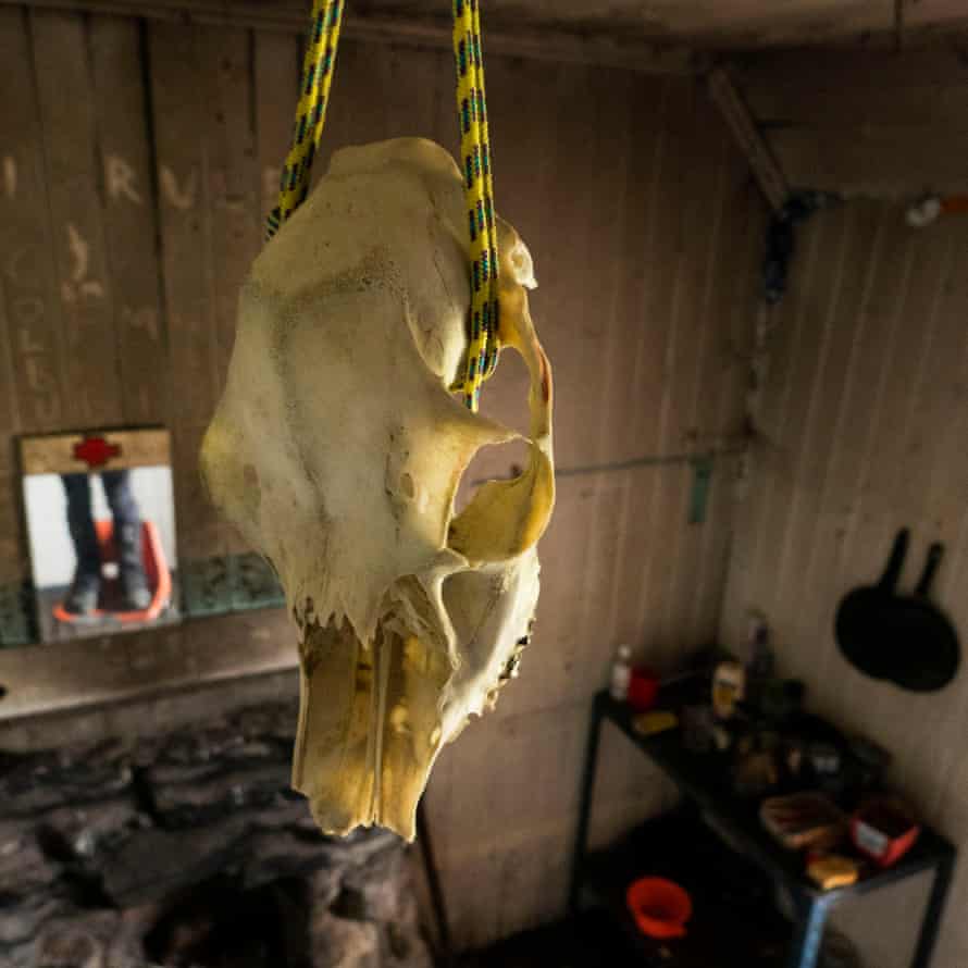 A skull hangs from the ceiling, in Ben Alder Cottage