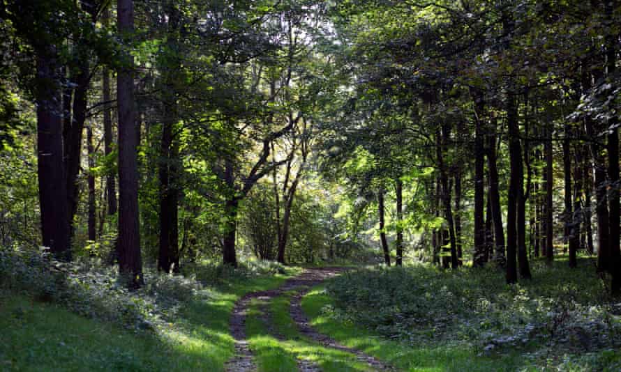 The track along East Dale.