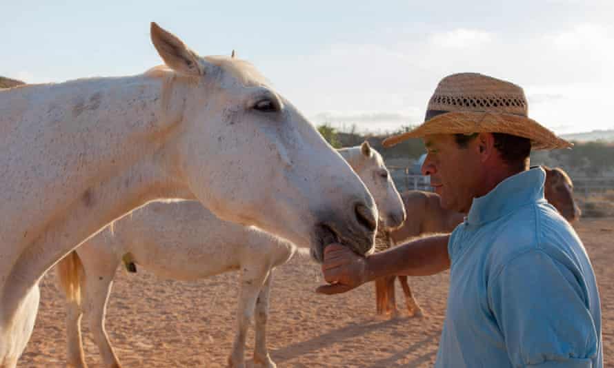 A horse whisperer interacts at the Dreams of Horses Farm in Gozo’s Ramla Valley