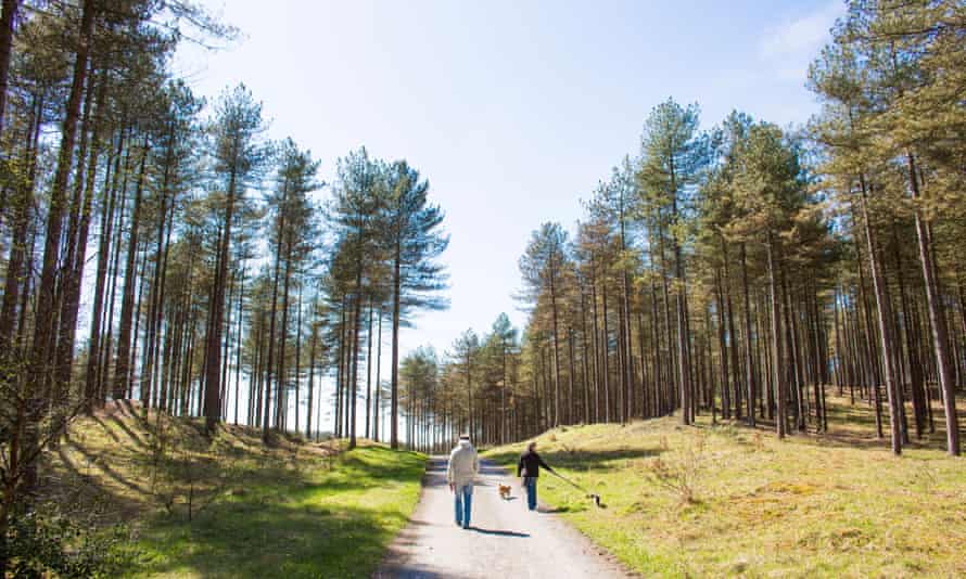 Pembrey Country Park.