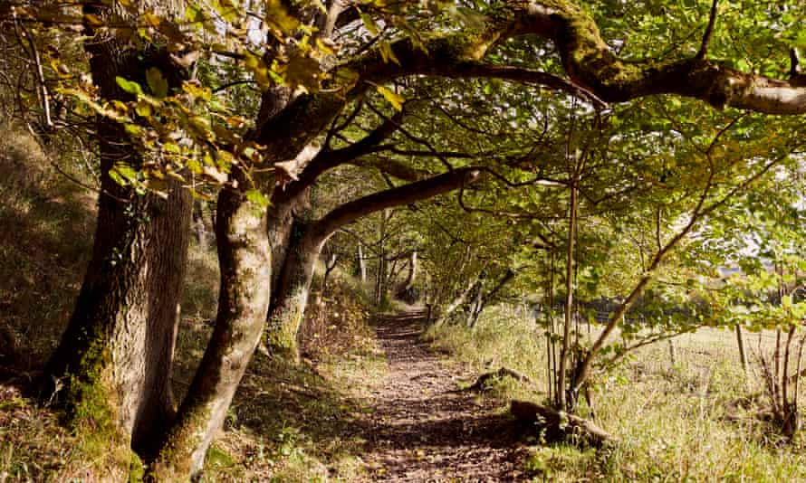 The footpath north of Cerne Abbas.